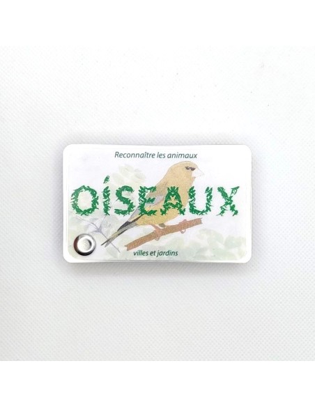 Carnet Oiseaux des villes et jardins - LES CARNETS DE PIERRE 3+