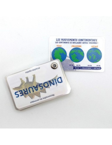 Carnet Dinosaures - LES CARNETS DE PIERRE 3+