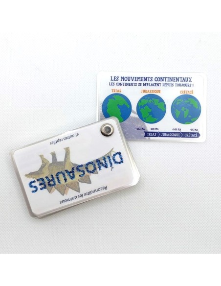 Carnet Dinosaures - LES CARNETS DE PIERRE 3+