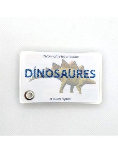Carnet Dinosaures - LES CARNETS DE PIERRE 3+