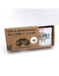 Carnet Dinosaures - LES CARNETS DE PIERRE 3+ 2