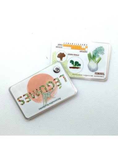 Carnet Légumes du potager - LES CARNETS DE...