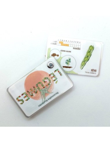 Carnet Légumes du potager - LES CARNETS DE...