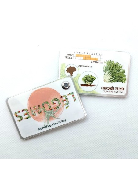 Carnet Légumes du potager - LES CARNETS DE PIERRE 3+