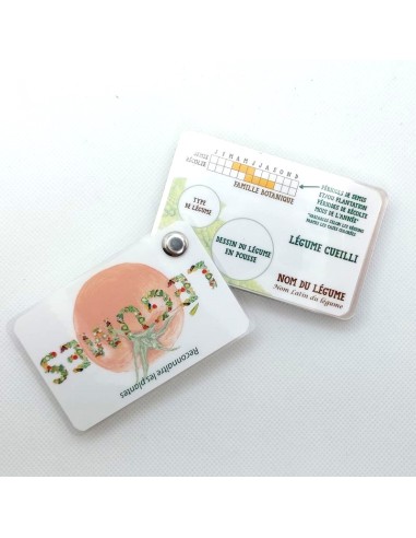 Carnet Légumes du potager - LES CARNETS DE...