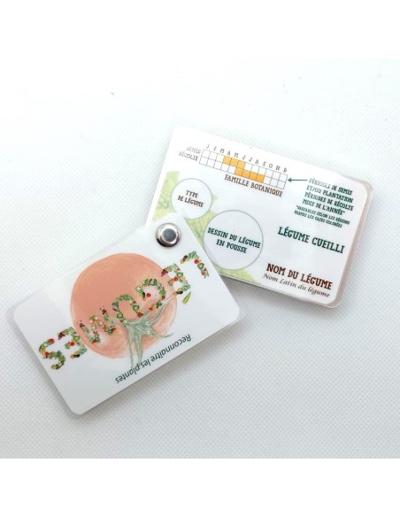 Carnet Légumes du potager - LES CARNETS DE PIERRE 3+