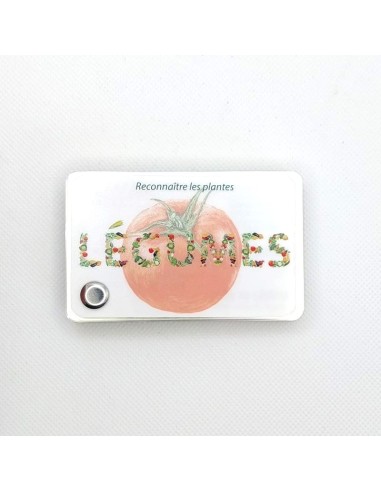 Carnet Légumes du potager - LES CARNETS DE...