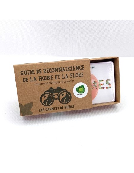 Carnet Légumes du potager - LES CARNETS DE PIERRE 3+