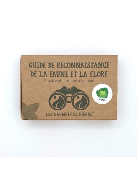 Carnet Légumes du potager - LES CARNETS DE PIERRE 3+