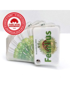 Carnet Arbres, feuillus et résineux - LES CARNETS DE...