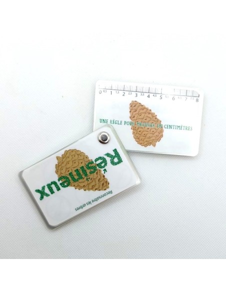 Carnet Arbres, feuillus et résineux - LES CARNETS DE PIERRE 3+