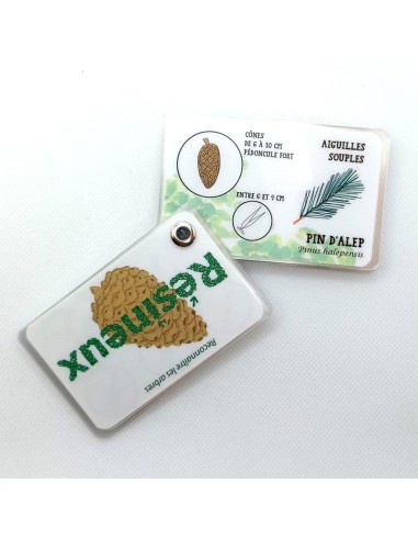 Carnet Arbres, feuillus et résineux - LES...