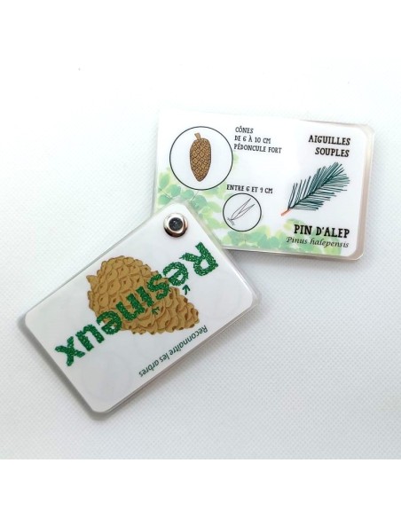 Carnet Arbres, feuillus et résineux - LES CARNETS DE PIERRE 3+