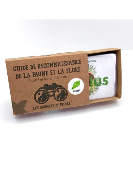 Carnet Arbres, feuillus et résineux - LES CARNETS DE PIERRE 3+