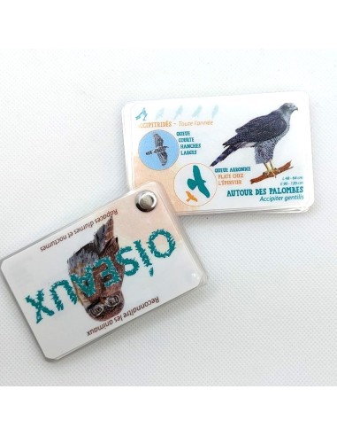 Carnet Oiseaux Rapaces - LES CARNETS DE PIERRE 3+