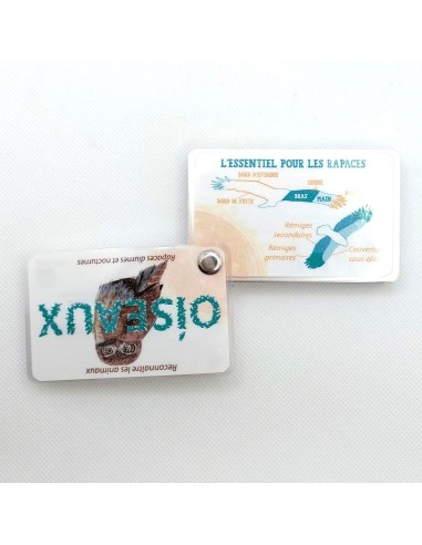 Carnet Oiseaux Rapaces - LES CARNETS DE PIERRE 3+