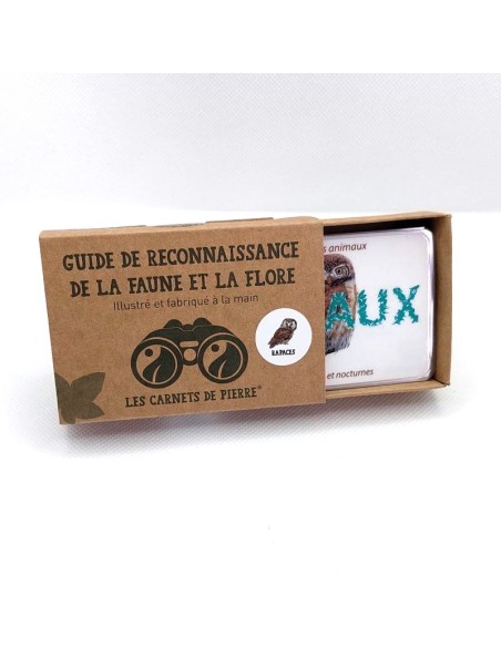 Carnet Oiseaux Rapaces - LES CARNETS DE PIERRE 3+