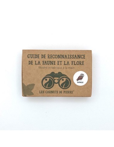 Carnet Oiseaux Rapaces - LES CARNETS DE PIERRE 3+