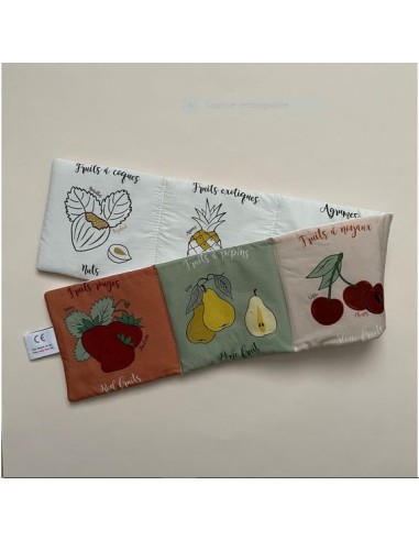 Livre d'éveil Les familles de fruits avec...