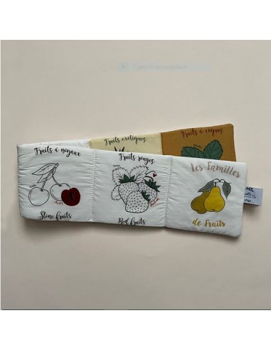 Livre d'éveil Les familles de fruits avec...