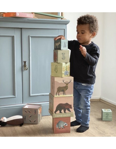 Cubes gigogne Pyramide Forêt - EGMONT TOYS 3+