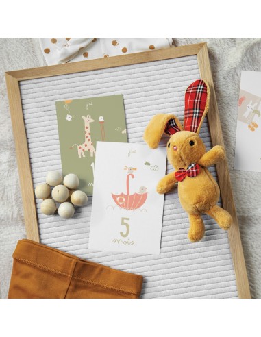 Cartes mes premiers mois - Instants magiques -...