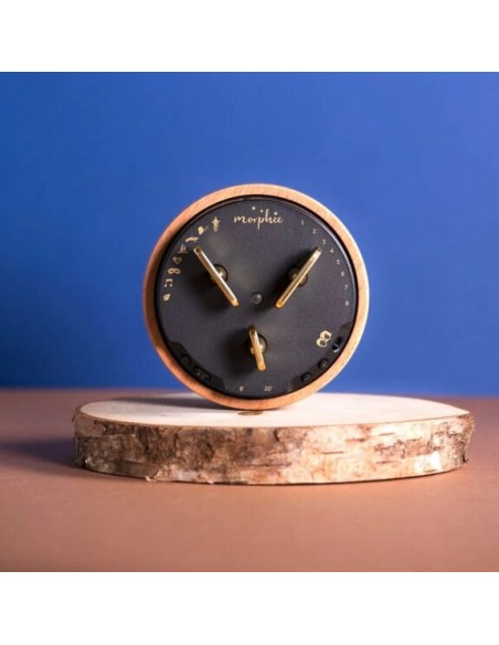 Box Morphée - MORPHEE