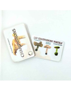 Carnet Champignons - LES CARNETS DE PIERRE 3+ 2