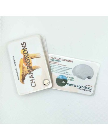 Carnet Champignons - LES CARNETS DE PIERRE 3+