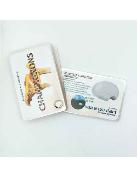 Carnet Champignons - LES CARNETS DE PIERRE 3+