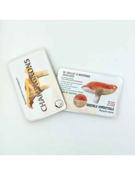 Carnet Champignons - LES CARNETS DE PIERRE 3+