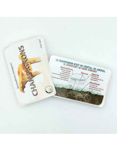 Carnet Champignons - LES CARNETS DE PIERRE 3+