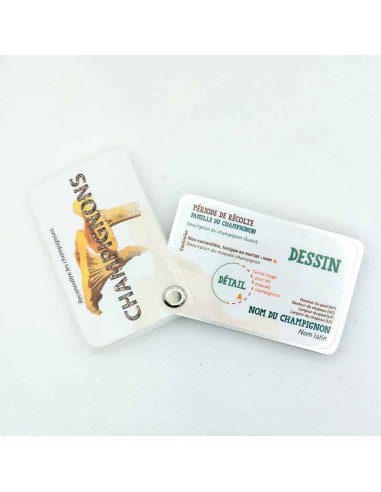 Carnet Champignons - LES CARNETS DE PIERRE 3+