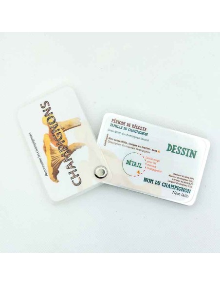 Carnet Champignons - LES CARNETS DE PIERRE 3+