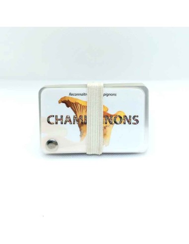 Carnet Champignons - LES CARNETS DE PIERRE 3+