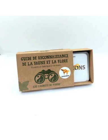 Carnet Champignons - LES CARNETS DE PIERRE 3+