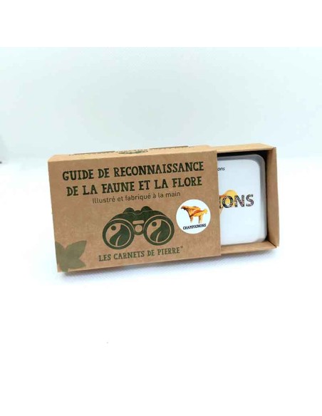 Carnet Champignons - LES CARNETS DE PIERRE 3+