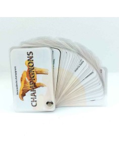 Carnet Champignons - LES CARNETS DE PIERRE 3+