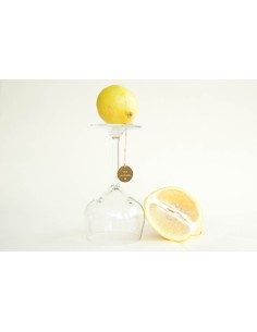 Médaille Féministe Dorée - Viva La Vulva - PIED DE POULE