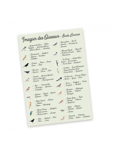 Mes Memos Rigolos - Oiseaux et Plumes - PIROUETTE CACAHOUÈTE 4+