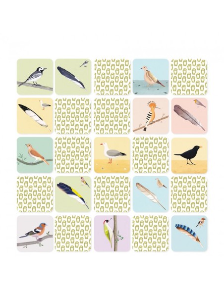 Mes Memos Rigolos - Oiseaux et Plumes - PIROUETTE CACAHOUÈTE 4+