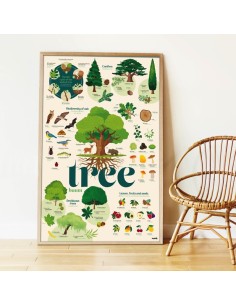 Poster pédagogique + 54 stickers L’ARBRE (6-12 ans) - POPPIK 2