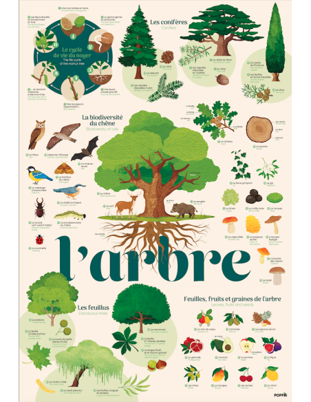 Poster pédagogique + 54 stickers L’ARBRE (6-12 ans) - POPPIK