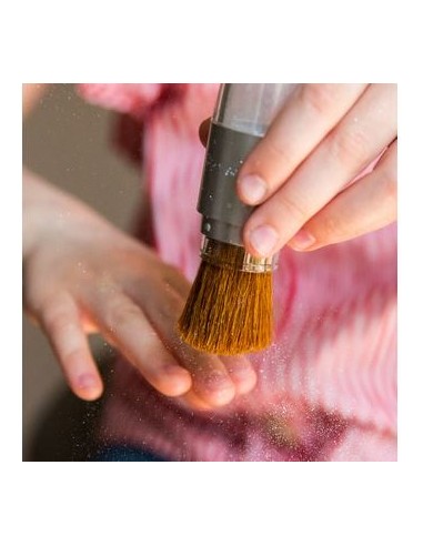 Poudre scintillante or et son pinceau magique -...