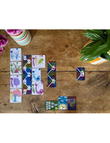 Jeu coopératif Dame Nature - Jeux OPLA - 8+