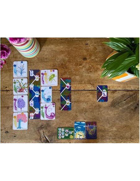 Jeu coopératif Dame Nature - Jeux OPLA - 8+