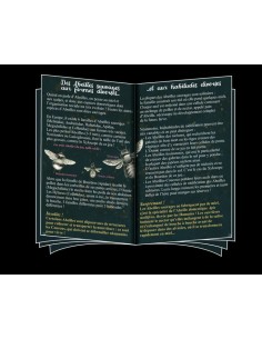 Pollen - Jeux OPLA - 8+ 2