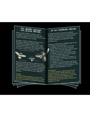 Pollen - Jeux OPLA - 8+