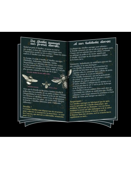 Pollen - Jeux OPLA - 8+