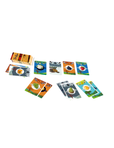 Pom Pom - Jeux OPLA - 8+ 2